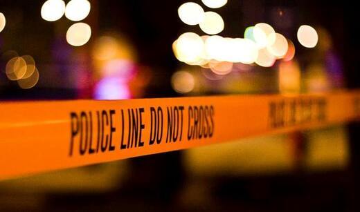 'Αγριες μέλισσσες , Το πρώτο πέταγμα